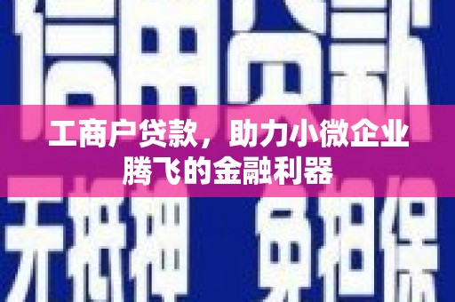蒸湘工商户贷款，助力小微企业腾飞的金融利器